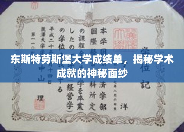 解锁东斯特劳斯堡大学成就榜，一睹学术风采的真容