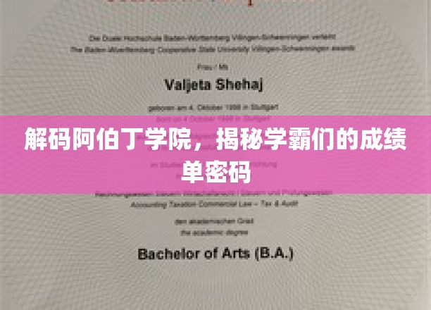 阿伯丁学霸秘籍，揭开顶尖学府的高分奥秘