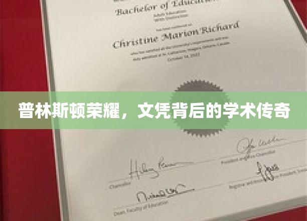 普林斯顿之光，文凭背后的学术传奇之旅