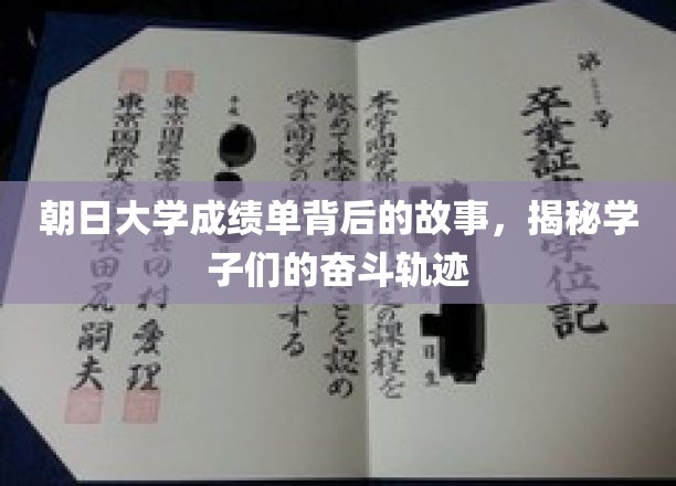 朝日大学成绩单背后的故事，揭秘学子们的奋斗轨迹