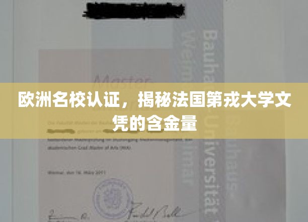 欧洲精英学府认可，深度解析法国第戎大学学历价值