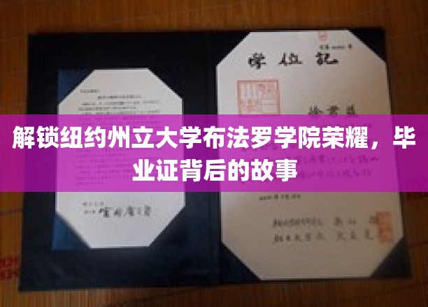 纽约州立大学布法罗荣耀揭晓，毕业证背后的传奇历程