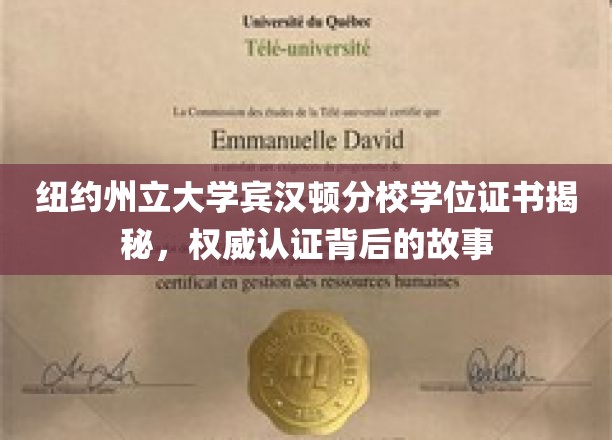 纽约州立大学宾汉顿分校学位证书揭秘：权威认证背后的故事