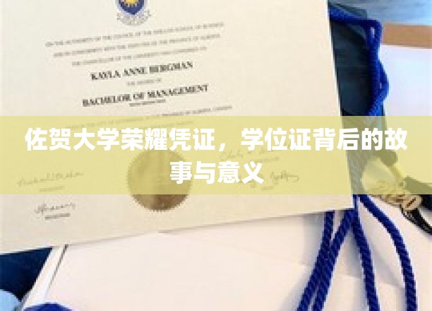 佐贺大学荣耀印记，揭秘学位证背后的传奇故事