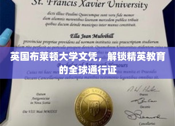 全球精英之路，布莱顿大学文凭，开启无限可能的教育通行证