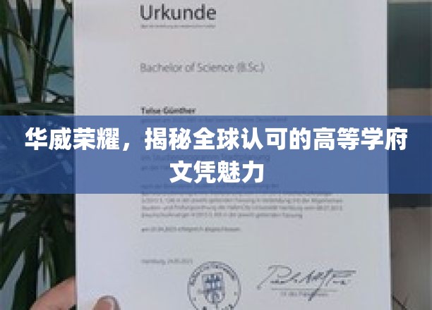 探索华威传奇，全球视野下的精英教育认证魅力