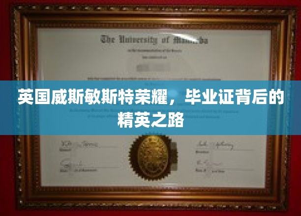 英国威斯敏斯特荣耀，毕业证背后的精英之路