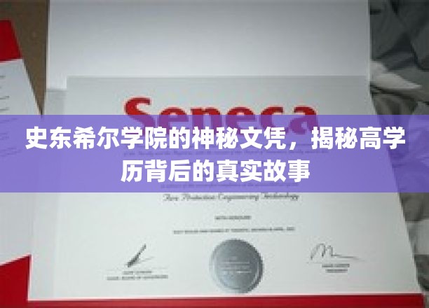 史东希尔学院的神秘文凭，揭秘高学历背后的真实故事