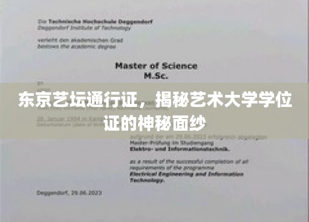 揭开东京艺坛通行证的面纱：艺术大学学位证的神秘面纱