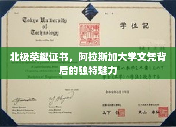 北极之光，阿拉斯加大学文凭背后的非凡故事