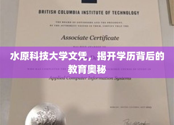 揭秘水原科技大学文凭背后的教育秘密，学历认证的深度剖析