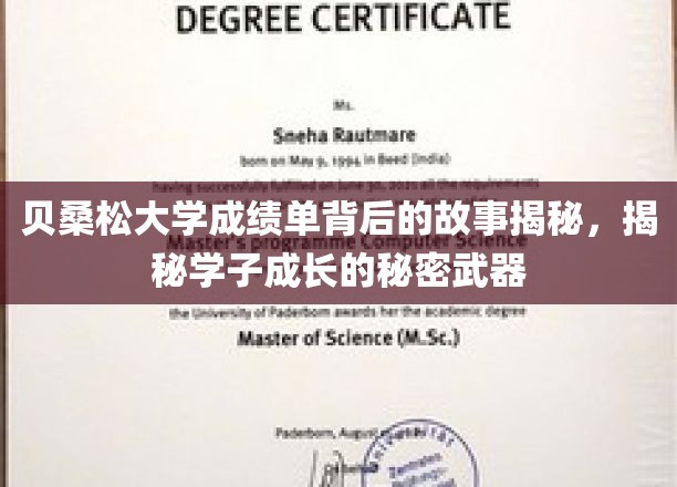 贝桑松大学成绩单背后的故事揭秘，揭秘学子成长的秘密武器