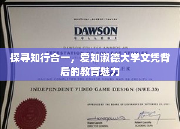 解码爱知淑德，探秘文凭背后的智慧与品德之光