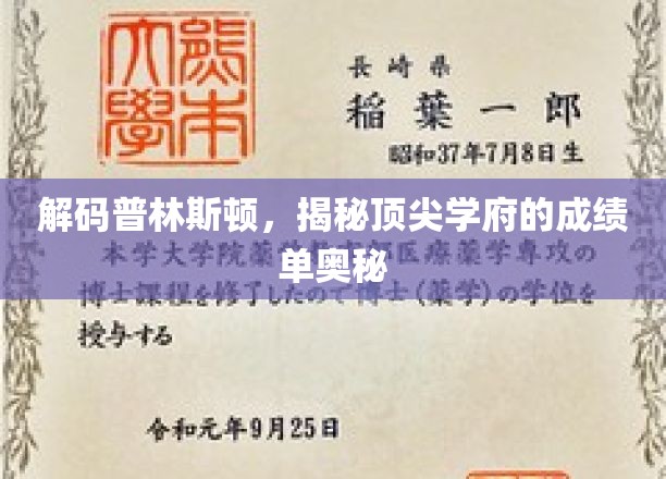 解码普林斯顿，探寻顶尖学府的成绩单奥秘
