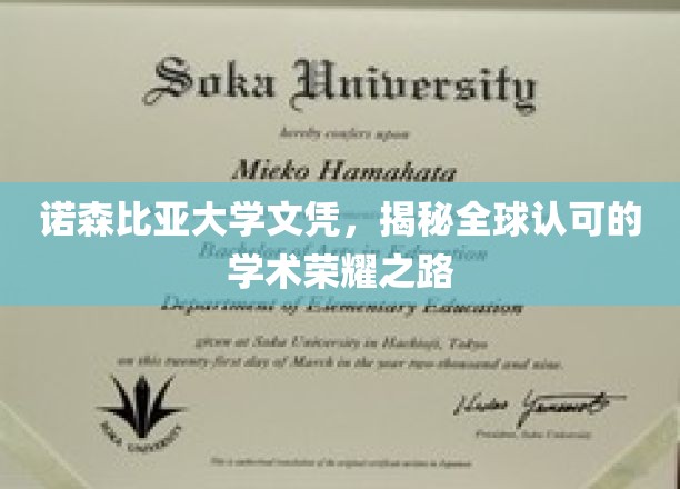 探寻诺森比亚大学全球认可的教育成就之旅