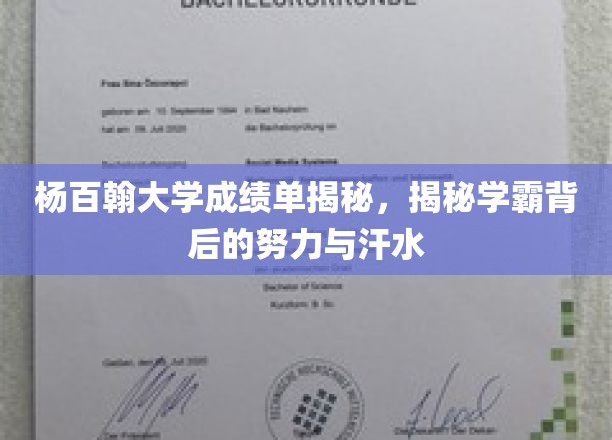 杨百翰大学学霸之路，揭开成绩单背后的拼搏与汗水秘密