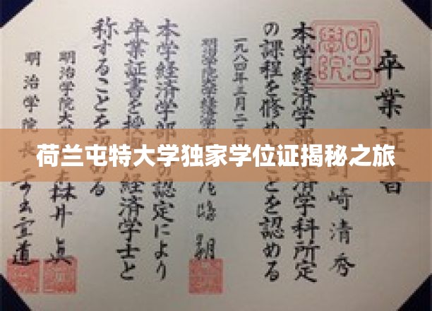 荷兰屯特大学独家学位证揭秘之旅