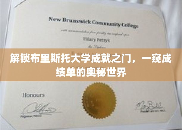 揭开布里斯托辉煌篇章，探索学子成就单背后的故事