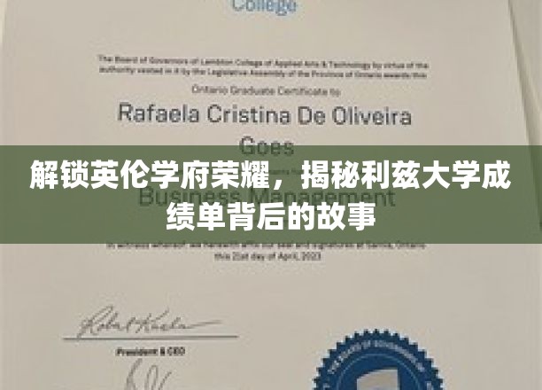 解码利兹辉煌，一探顶尖学府成绩单背后的秘密宝藏