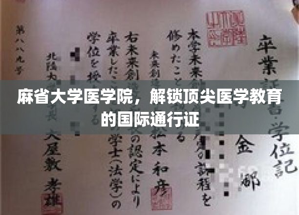 麻省大学医学院，国际医学教育新标杆的诞生之地