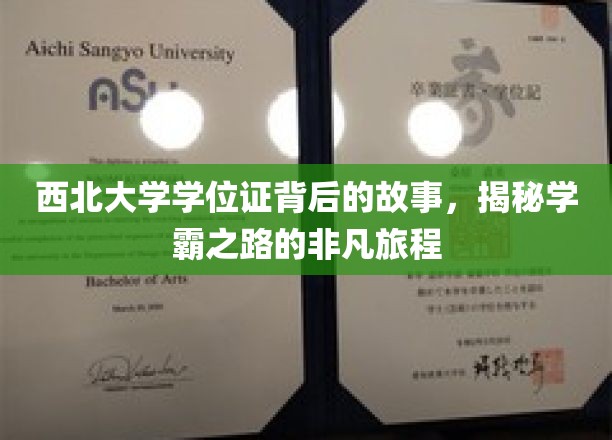 西北学霸传奇，揭秘西北大学学位证的非凡成长历程
