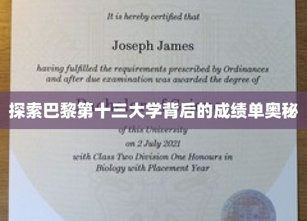 巴黎十三大学，揭开学术成就的神秘面纱