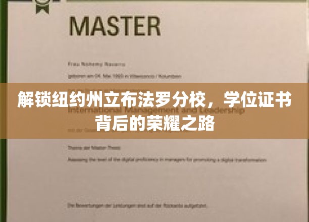 解锁纽约州立布法罗分校，学位证书背后的荣耀之路