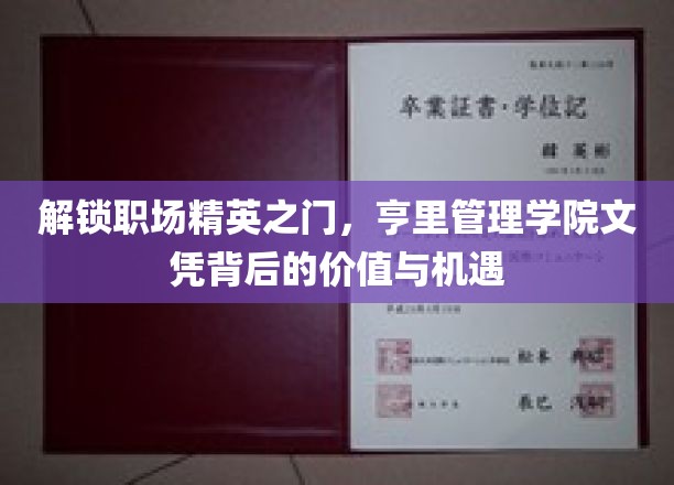 职场巅峰通行证，揭秘亨里管理学院文凭的隐性力量与无限可能