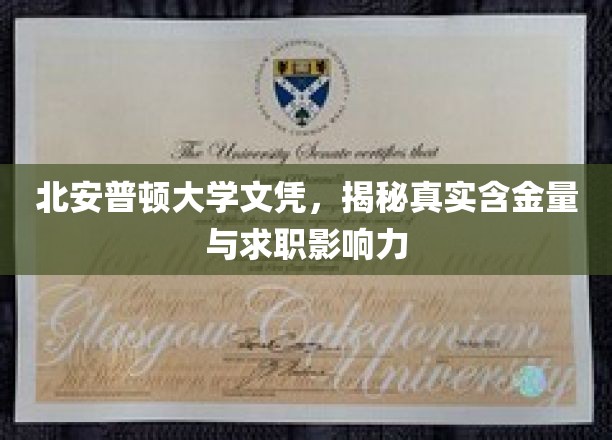 北安普顿大学文凭，揭秘真实含金量与求职影响力