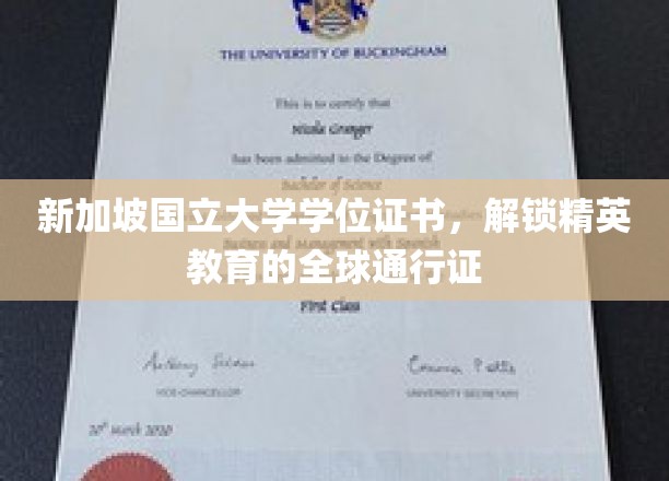 新加坡国立大学学位证书，解锁精英教育的全球通行证