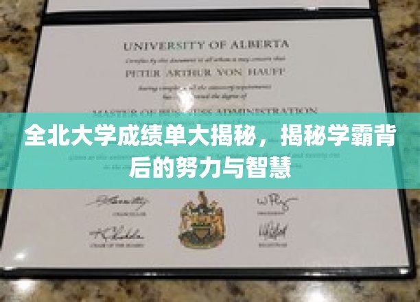 全北大学学霸养成记，揭开成绩单背后的奋斗与智慧面纱