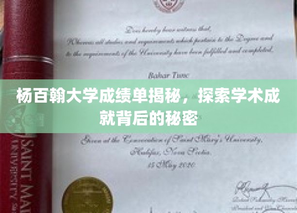 杨百翰大学成绩单揭秘，探寻学术成就背后的奥秘