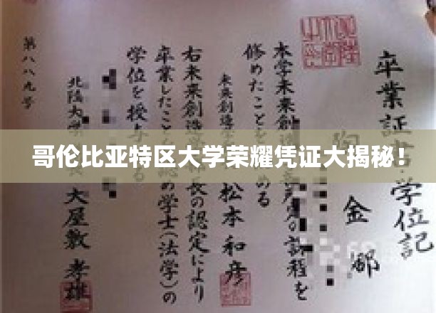 哥伦比亚特区大学独家荣耀证书背后的故事揭晓