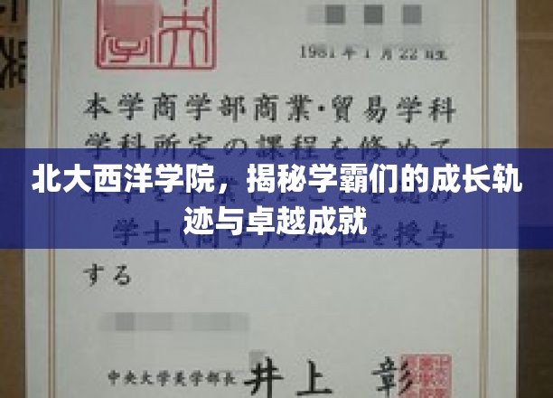 北大西洋学院学霸养成记，揭秘卓越成就背后的成长之路