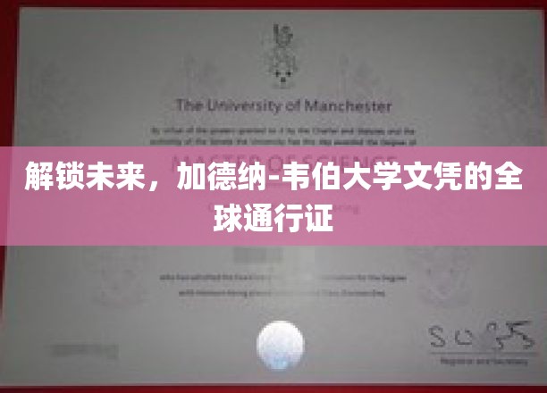 全球通行无界，加德纳-韦伯文凭引领未来职场潮流
