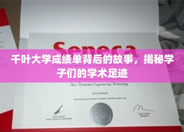 千叶大学成绩单背后的秘密，学子们的学术轨迹大揭秘