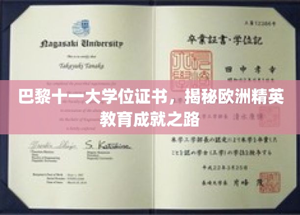 巴黎十一大学位证书，揭秘欧洲精英教育成就之路