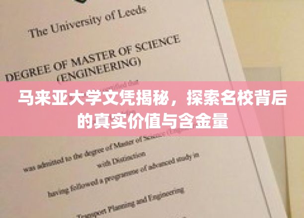 揭开马来亚大学文凭的神秘面纱，揭秘名校的学术实力与价值所在