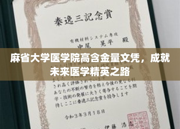 麻省大学医学院高含金量文凭，开启医学精英未来之路
