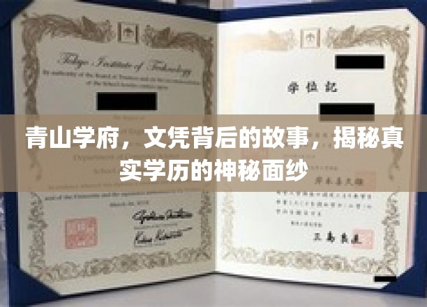 青山学府，文凭背后的故事，揭秘真实学历的神秘面纱