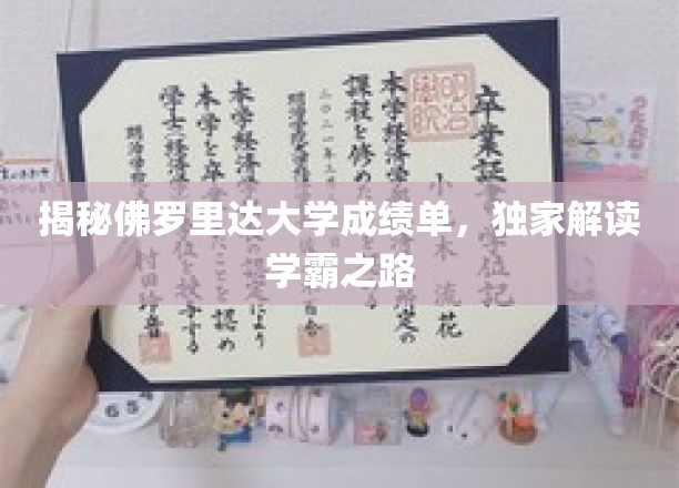 解锁学霸秘密，佛罗里达大学成绩单背后的成功密码