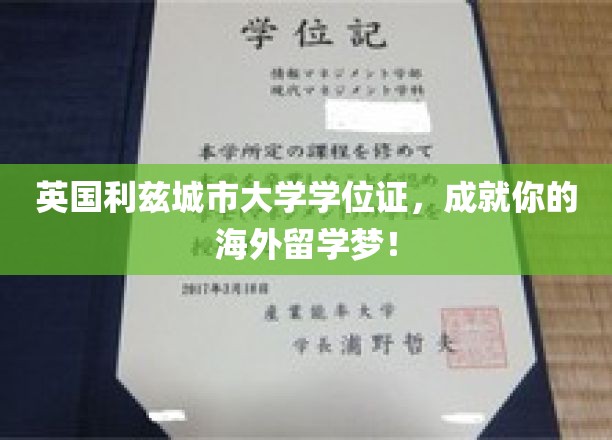 解锁海外留学新篇章，英国利兹城市大学学位证，助你一飞冲天！