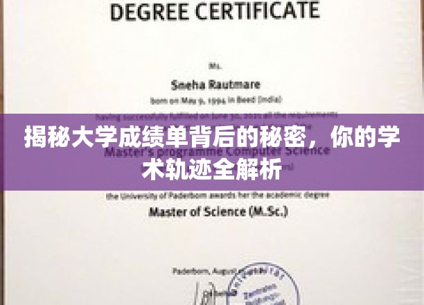 解锁大学成绩单，揭秘你的学术成长轨迹