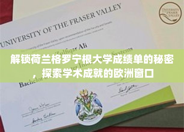 揭开荷兰格罗宁根大学成绩单的神秘面纱，欧洲学术成就的新视窗