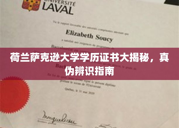荷兰萨克逊大学学历证书大揭秘，真伪辨识指南