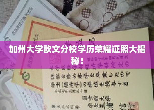 加州名校学历认证揭秘，欧文分校荣耀背后的故事