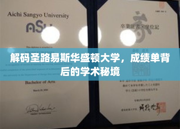 探索圣路易斯华盛顿大学，揭开成绩单背后的学术奥秘