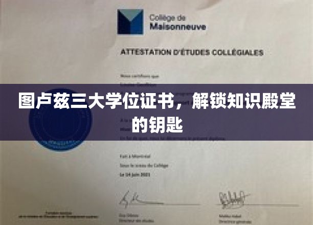 解锁知识宝库的图卢兹三大学位证书之旅