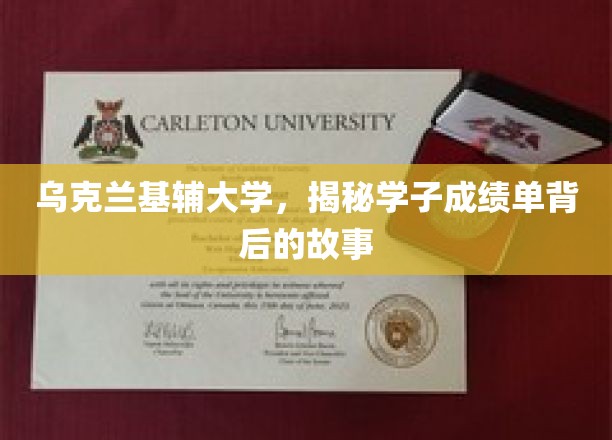基辅大学学子成绩单背后的成长轨迹揭秘