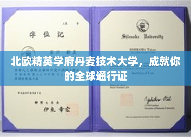 北欧精英学府丹麦技术大学，成就你的全球通行证